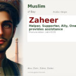 Zaheer Name Meaning and Details