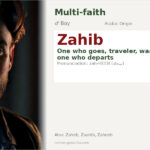 Zahib Name Meaning and Details