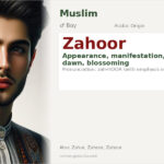 Zahoor Name Meaning and Details