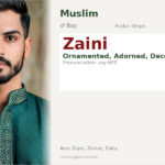 Zaini Name Meaning and Details