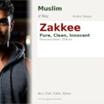 Zakkee Name Meaning and Details