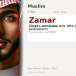 Zamar Name Meaning and Details