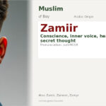 Zamiir Name Meaning and Details