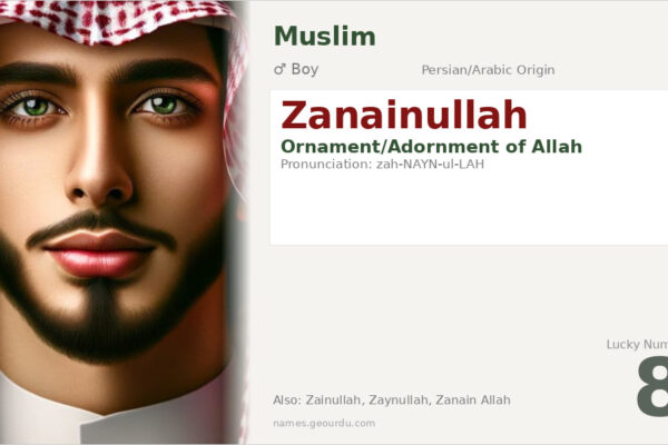 Zanainullah Name Meaning — Persian/Arabic Origin, Boy Muslim Name (2025)