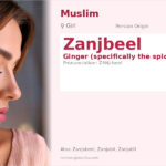 Zanjbeel Name Meaning and Details