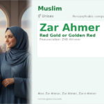 Zar Ahmer Name Meaning and Details