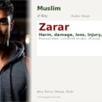 Zarar Name Meaning and Details