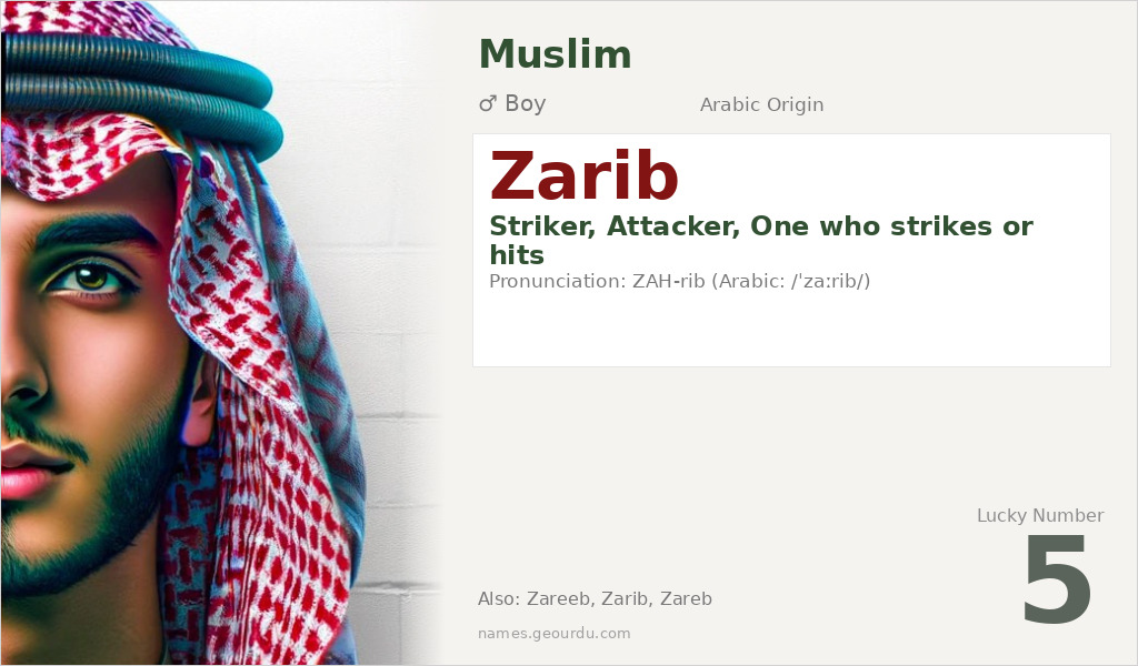 Zarib Name Meaning and Details