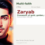 Zaryab Name Meaning and Details