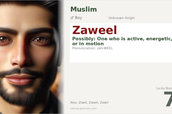 Zaweel Name Meaning — Origin, Gender & Details (2025)