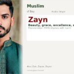 Zayn Name Meaning and Details