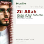 Zil Allah Name Meaning and Details