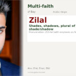 Zilal Name Meaning and Details