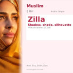 Zilla Name Meaning and Details