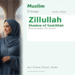 Zillullah Name Meaning and Details