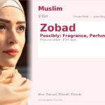 Zobad Name Meaning and Details