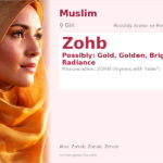 Zohb Name Meaning and Details