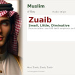 Zuaib Name Meaning and Details
