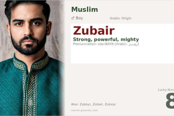 Zubair Name Meaning — Arabic Origin, Boy Name & Details (2025)