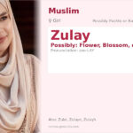 Zulay Name Meaning and Details