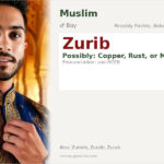 Zurib Name Meaning and Details