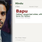 Bapu Name Meaning and Details