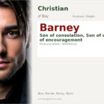 Barney Name Meaning and Details