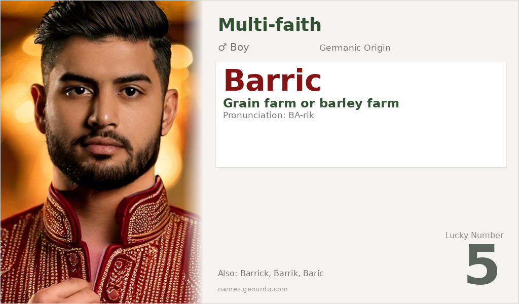 Barric Name Meaning and Details