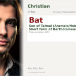 Bat Name Meaning and Details