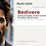 Bedivere Name Meaning and Details