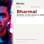 Bharmal Name Meaning and Details