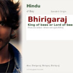 Bhirigaraj Name Meaning and Details