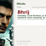Bhrij Name Meaning and Details