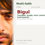 Bigul Name Meaning and Details