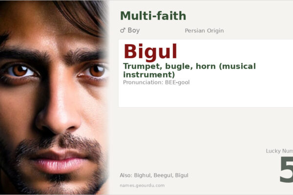 Bigul Name Meaning — Persian Origin, Boy Name & Details (2025)