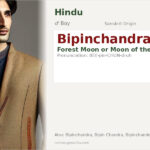 Bipinchandra Name Meaning and Details