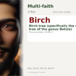 Birch Name Meaning and Details