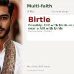 Birtle Name Meaning and Details