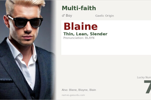 Blaine Name Meaning — Origin, Gender & Details (2025)