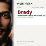 Brady Name Meaning and Details