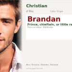 Brandan Name Meaning and Details