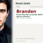 Branden Name Meaning and Details