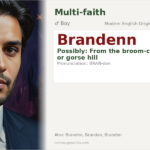Brandenn Name Meaning and Details