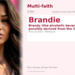 Brandie Name Meaning and Details