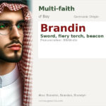 Brandin Name Meaning and Details