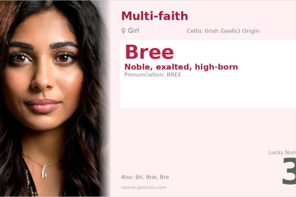 Bree Name Meaning — Irish Origin, Girl’s Name & Details (2025)