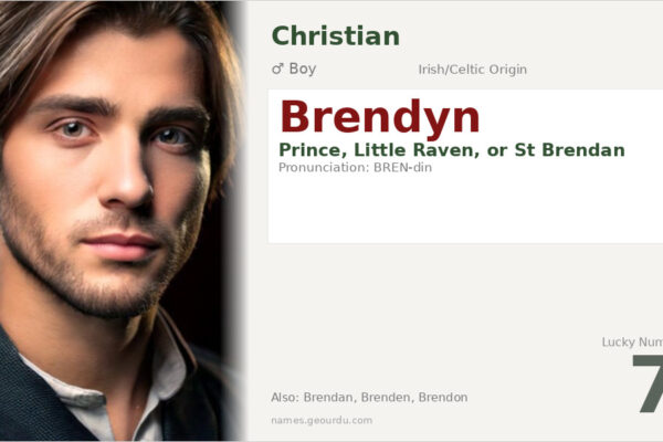 Brendyn Name Meaning — Irish Origin, Boy Name & History (2025)
