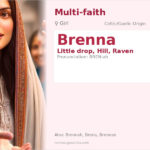 Brenna Name Meaning and Details