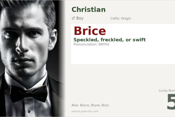 Brice Name Meaning — Celtic Origin, Boy Name & History (2025)