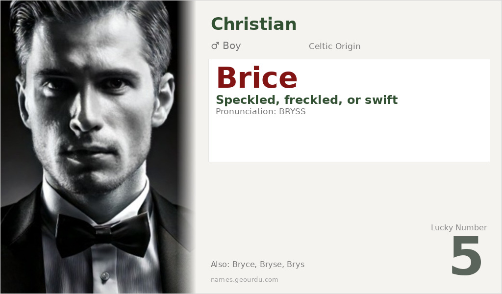 Brice Name Meaning and Details